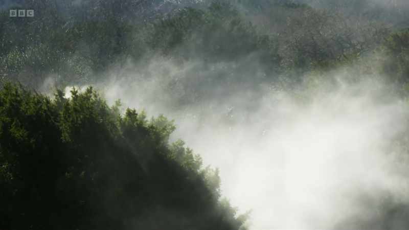 As the pollen drifts away