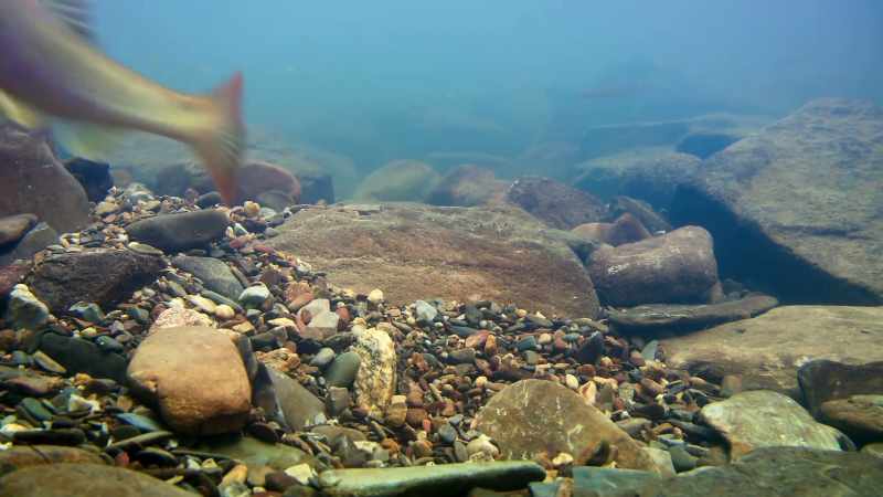 As the river flows faster, the work gets harder