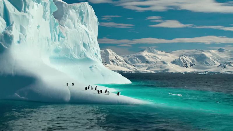 As the sea ice breaks up
