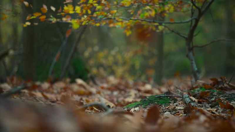As the seasonal winds strengthen