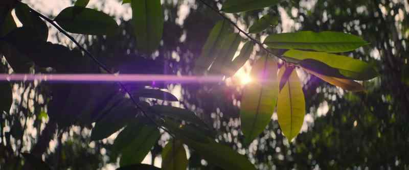 As the sunlight wanes