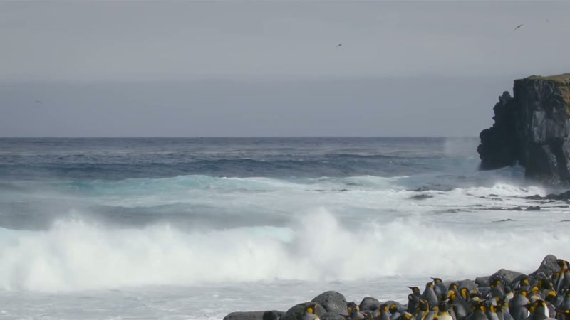 'As the water gets colder