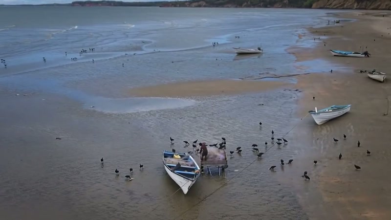 'As well as catching fish