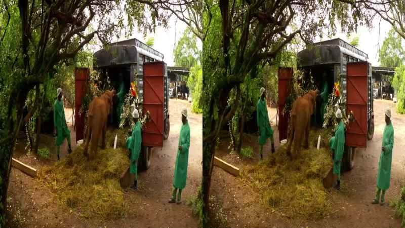 As with many big changes in life