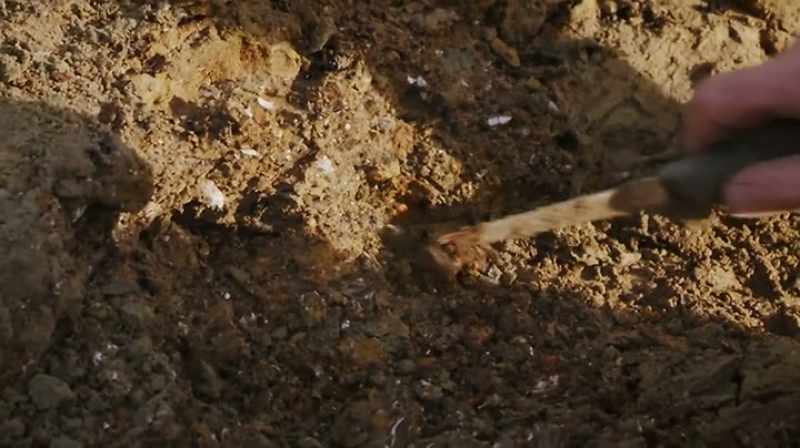 AS YOU'RE DIGGING, YOU JUST HOPE SOMETHING WILL CATCH YOUR EYE