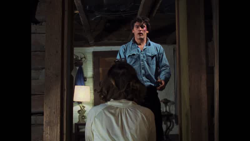 Ash? Help me, please, ash. Oh, ash, please don't let them take me away again. - Please. - No, I won'