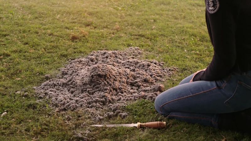 Ashes to ashes