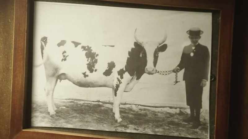 At 16, he bought his first cow for $20