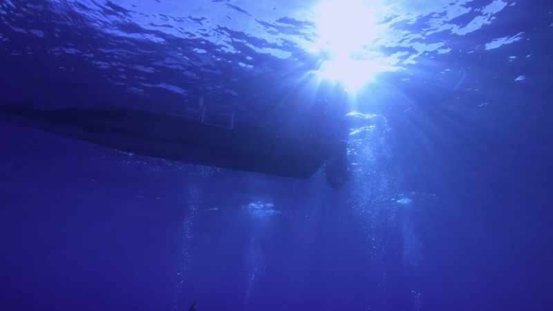 At depth, with all the tremendous pressure