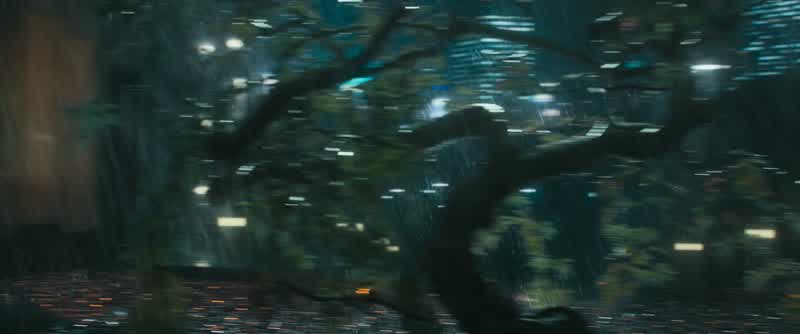 At first, I didn't see it