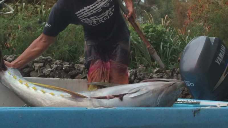 At first, I started slowly catching fish