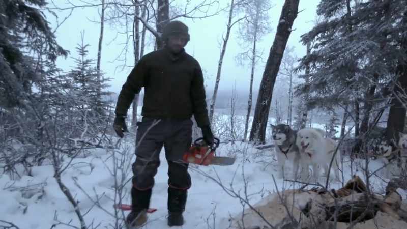 At first, the only dog who was a little afraid was, uh, Sam