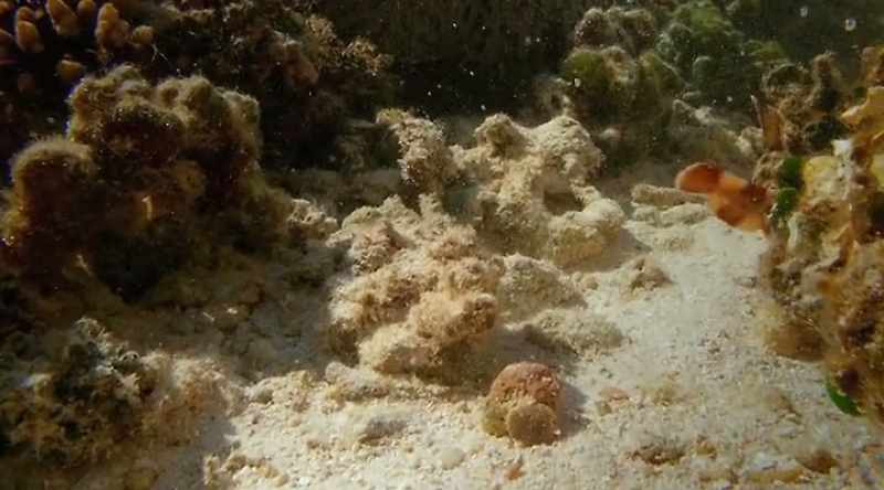 At just nine million years old