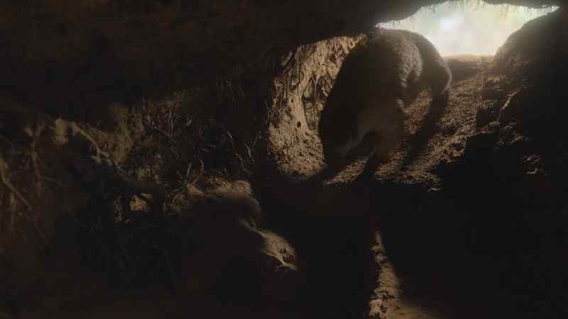 At the end of this tunnel, there are eggs