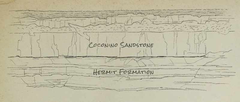 At the Grand Canyon we Coconino formation Hermit