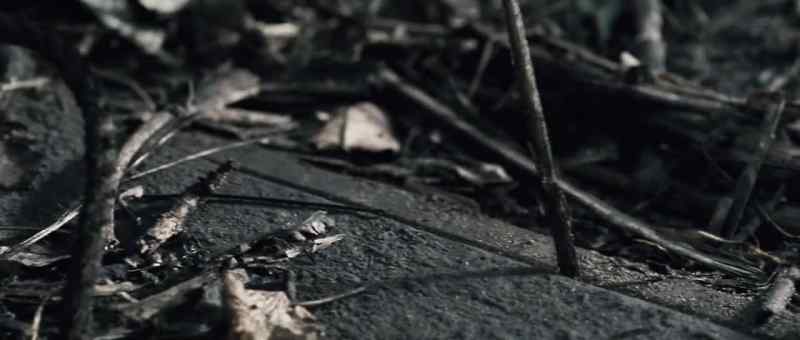 At the opening there is a knife