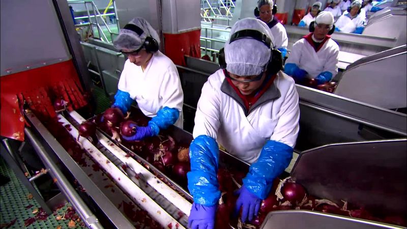 AT THE PROCESSING PLANT