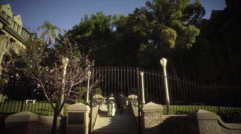 At the Rosewood Institute