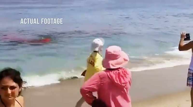 Attacked in water shallow enough to stand in