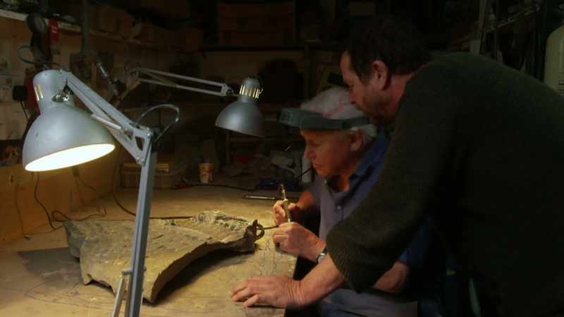 ATTENBOROUGH: Phew, that's a relief