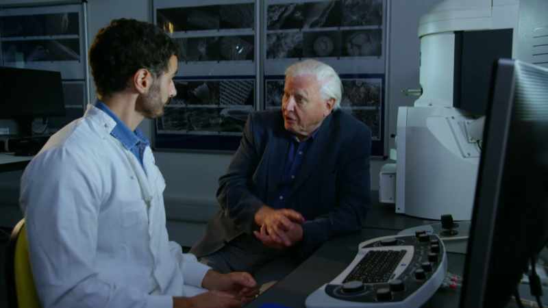 ATTENBOROUGH: So that really is a step forward