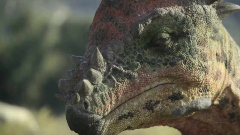 [Attenborough] So, were the skulls strong enough