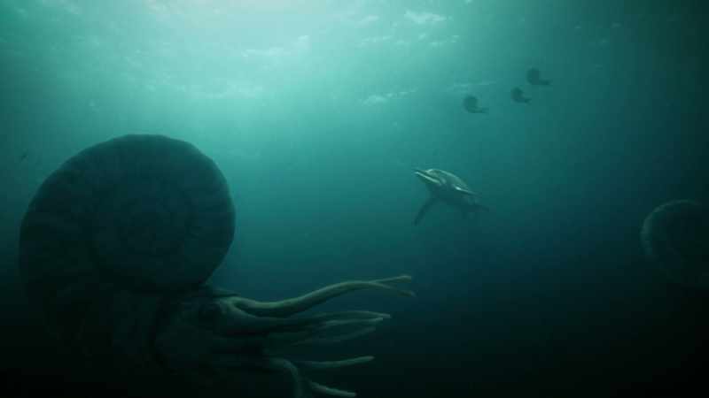 ATTENBOROUGH: Solving that mystery will throw light