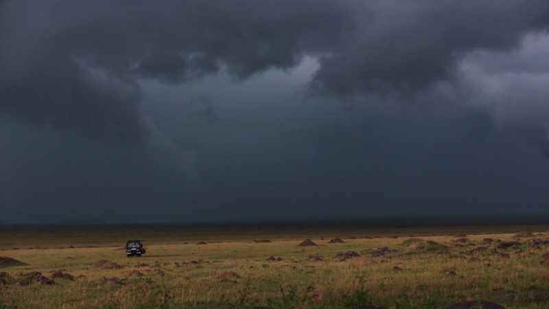 ATTENBOROUGH: The crew's attachment to the lions