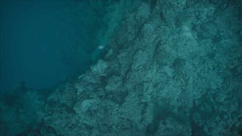 [Attenborough] The largest was Mosasaurus hoffmanni