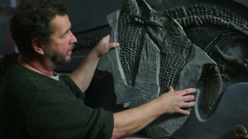 ATTENBOROUGH: There are half a dozen rows of digits there