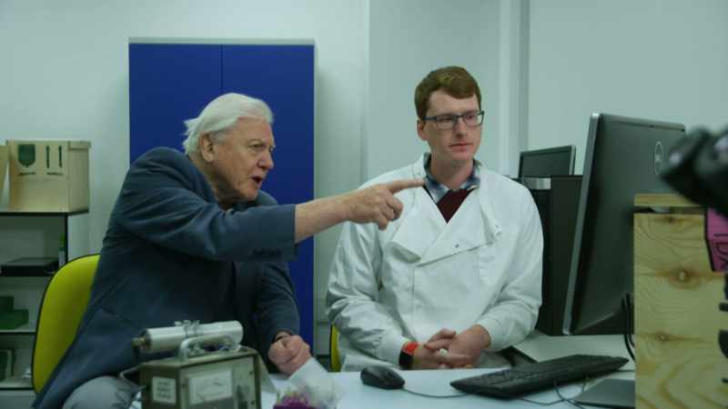 ATTENBOROUGH: There would've been cartilage around that, wouldn't there