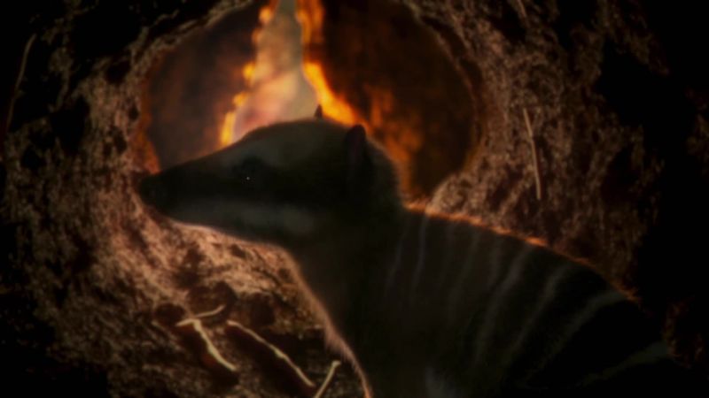 ATTENBOROUGH: Those that live underground may have had a better chance