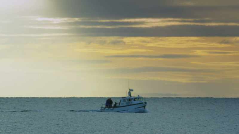 ATTENBOROUGH: Two weeks after they started work
