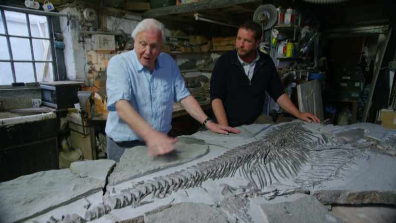 ATTENBOROUGH: Well, it's a long time spent