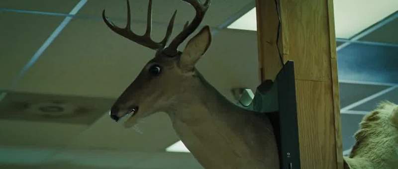 Attention all fellow deer