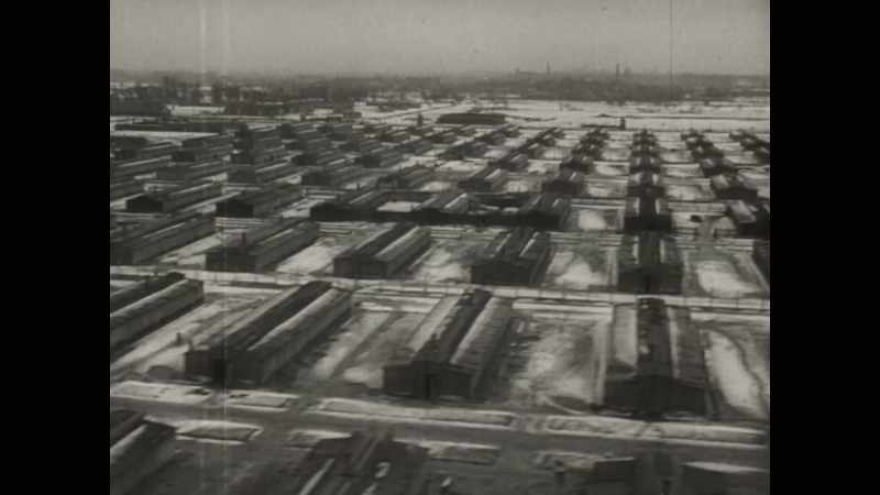Auschwitz became a Jew camp