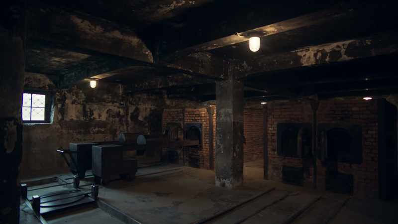 Auschwitz is just the modern industrial application