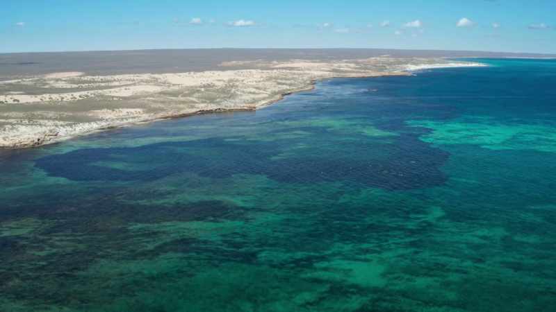Australia is not only fringed by rich reefs