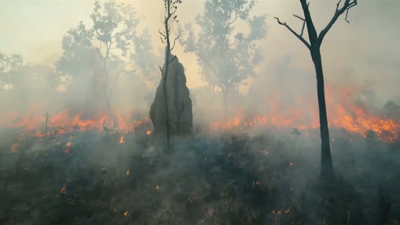 Australia is ravaged by more bush fires