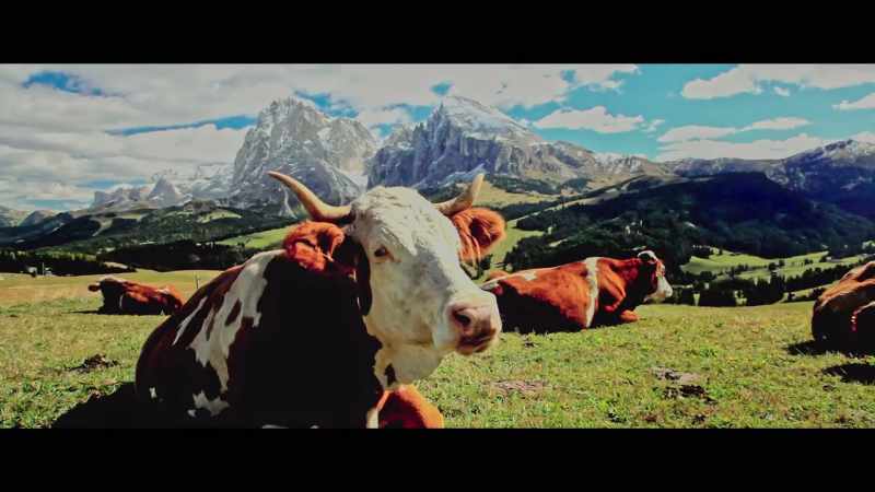 Austria? -(bell tinkles)