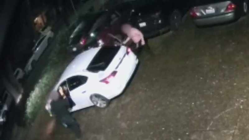 Authorities do not recommend confronting criminals