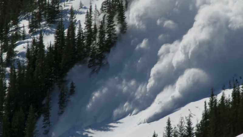 Avalanches can be hugely destructive