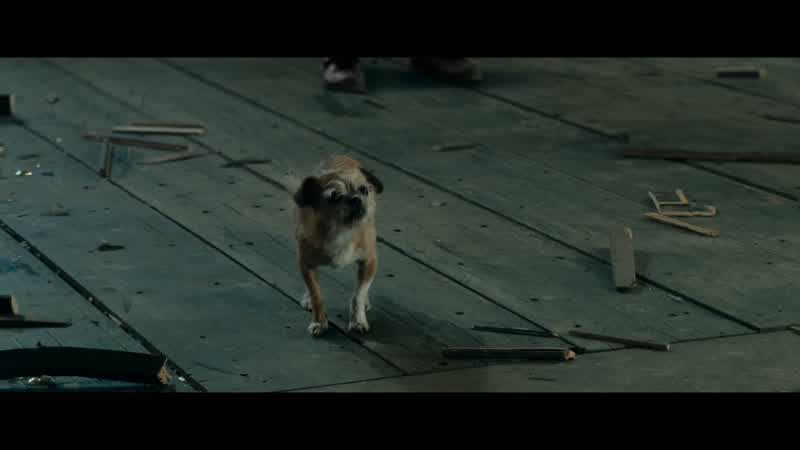 Aw. The only one with courage. So innocent