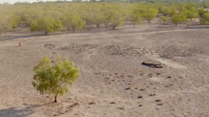 Aware of the problems facing woolgrowers