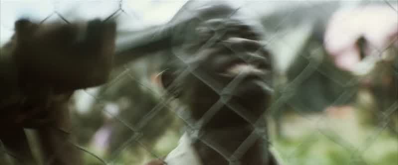 Away from the fence