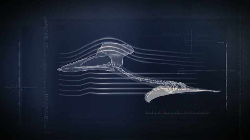 Azhdarchids were supremely adapted for covering great distance