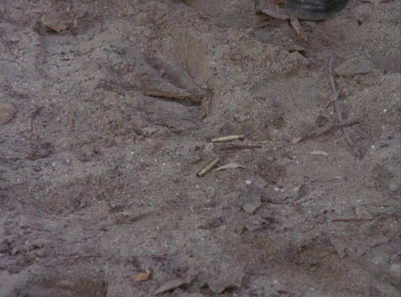 (B.A.) Shell casings