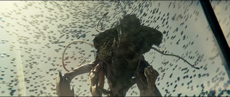 I told you not to get too close, David!