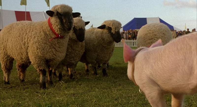 Baa ram ewe Baa ram ewe