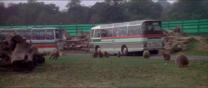 Baboons bite. Keep all car windows closed